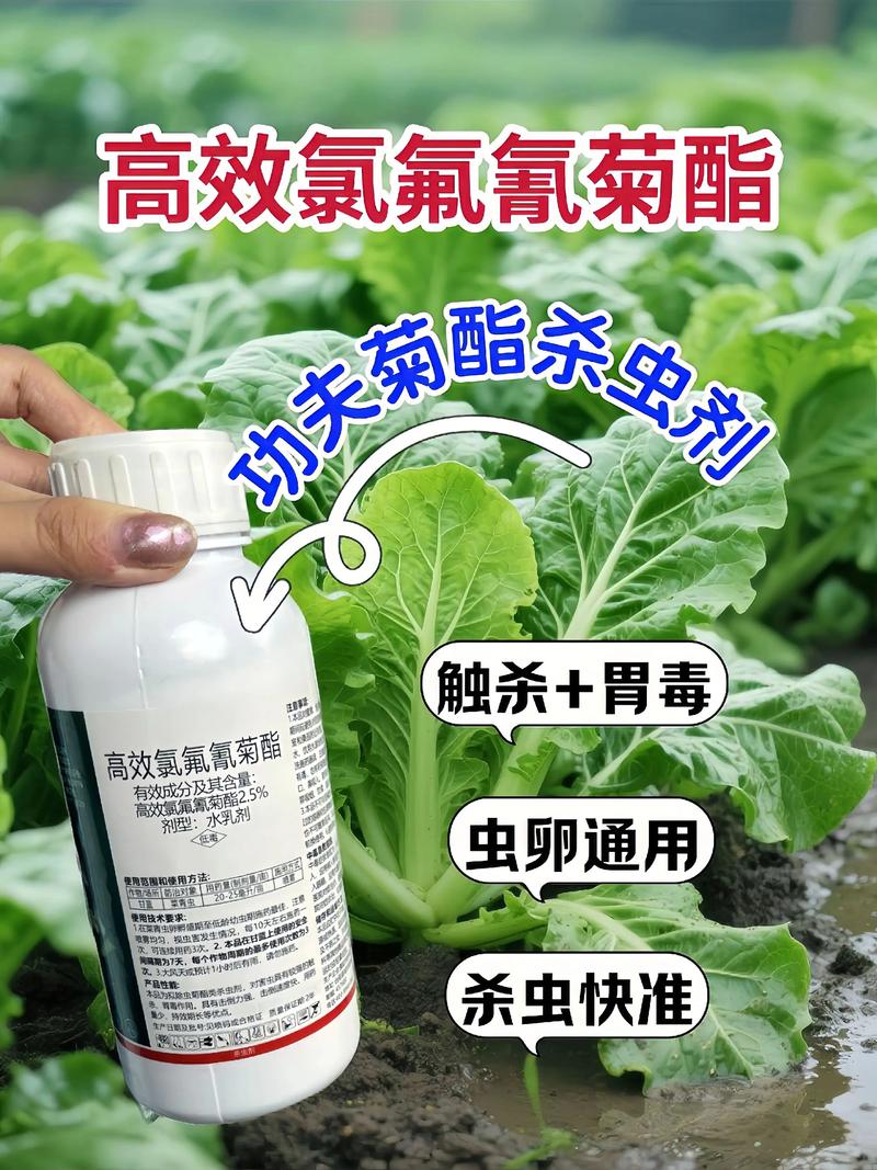 辽阳代生中心:农药对供卵代生妈妈的危害